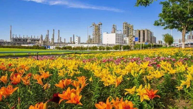 造纸消泡剂：揭秘其作用原理与选型要点